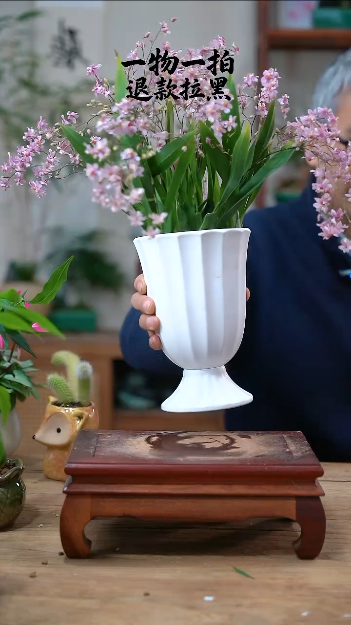 完全开放f****儿文心兰266