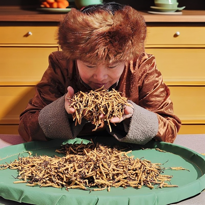 【断草定向链接】 高原格桑 2025新干草 自然晒干 经济实惠 