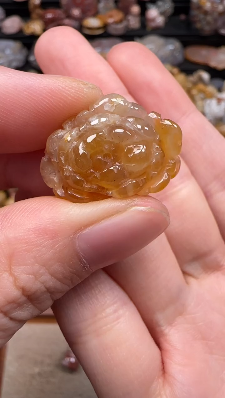 硅化珊瑚（珊瑚玉）未镶嵌颈饰570