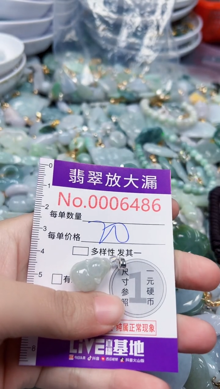 颈饰未镶嵌翡翠6486