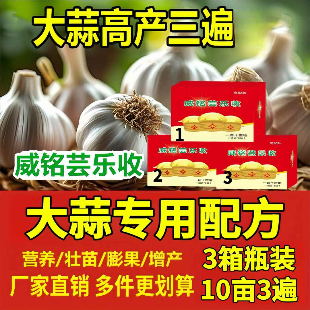 威铭芸乐收大蒜高产10亩地3遍肥（10效合1）