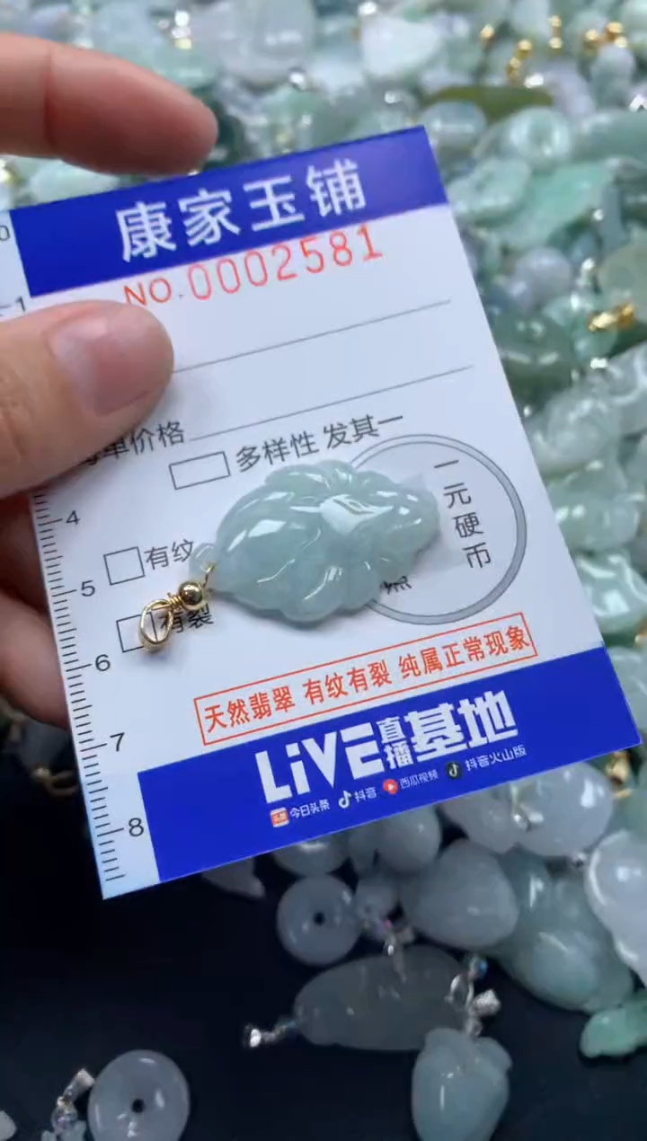 颈饰未镶嵌翡翠2581