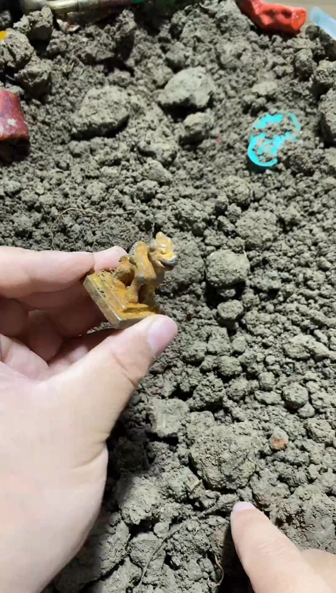 玉闪购直播精选链接