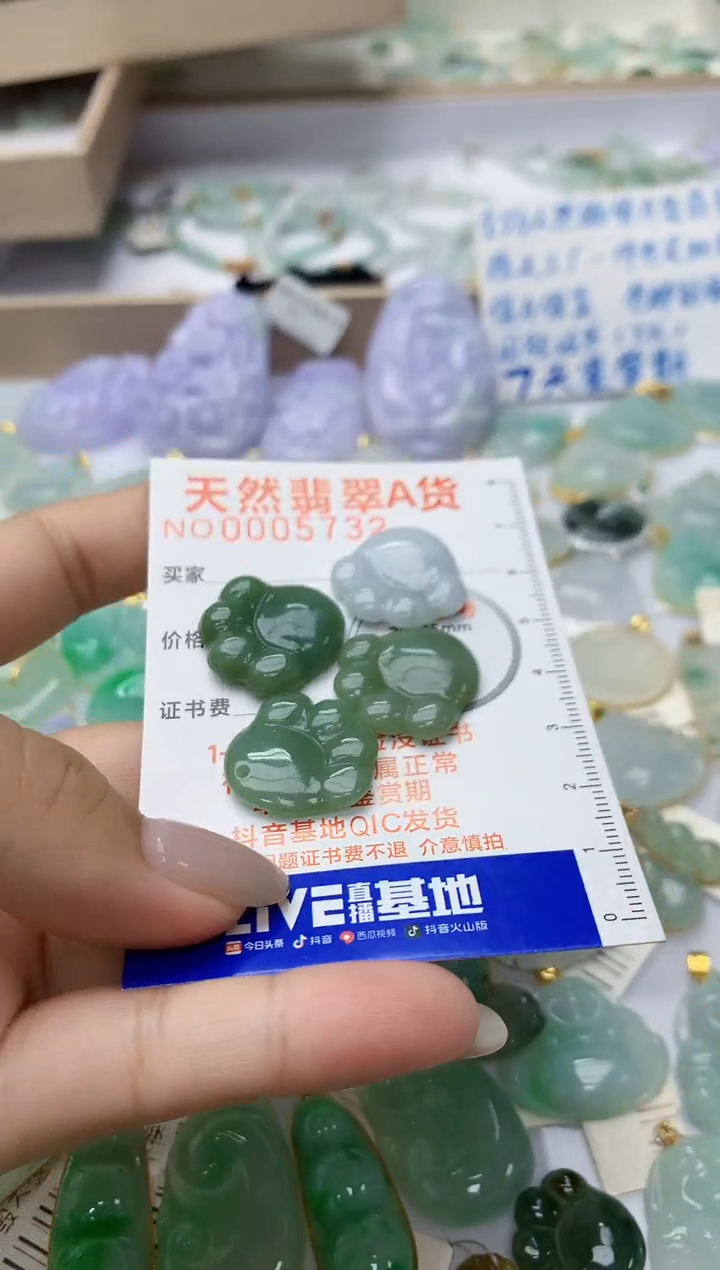 颈饰未镶嵌翡翠天然翡翠A货