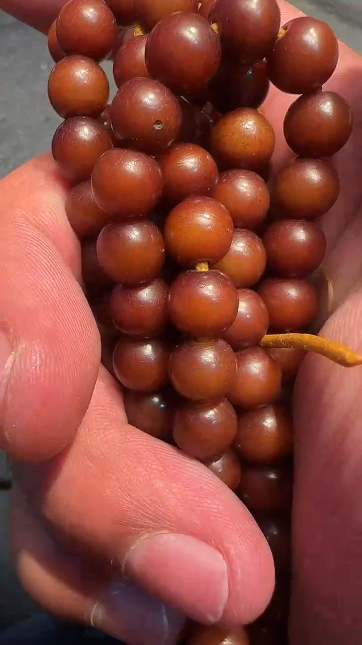 菩提根念珠菩提根念珠