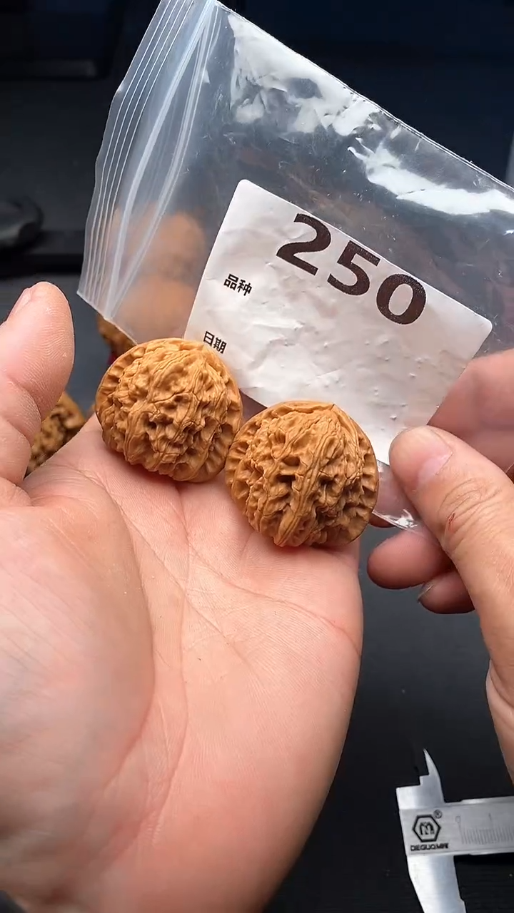 【闪购商品】文玩核桃吊坠250号39尺寸三角白