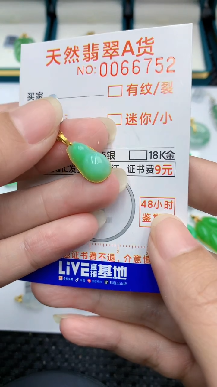 【闪购商品】翡翠颈饰18K金镶嵌            8