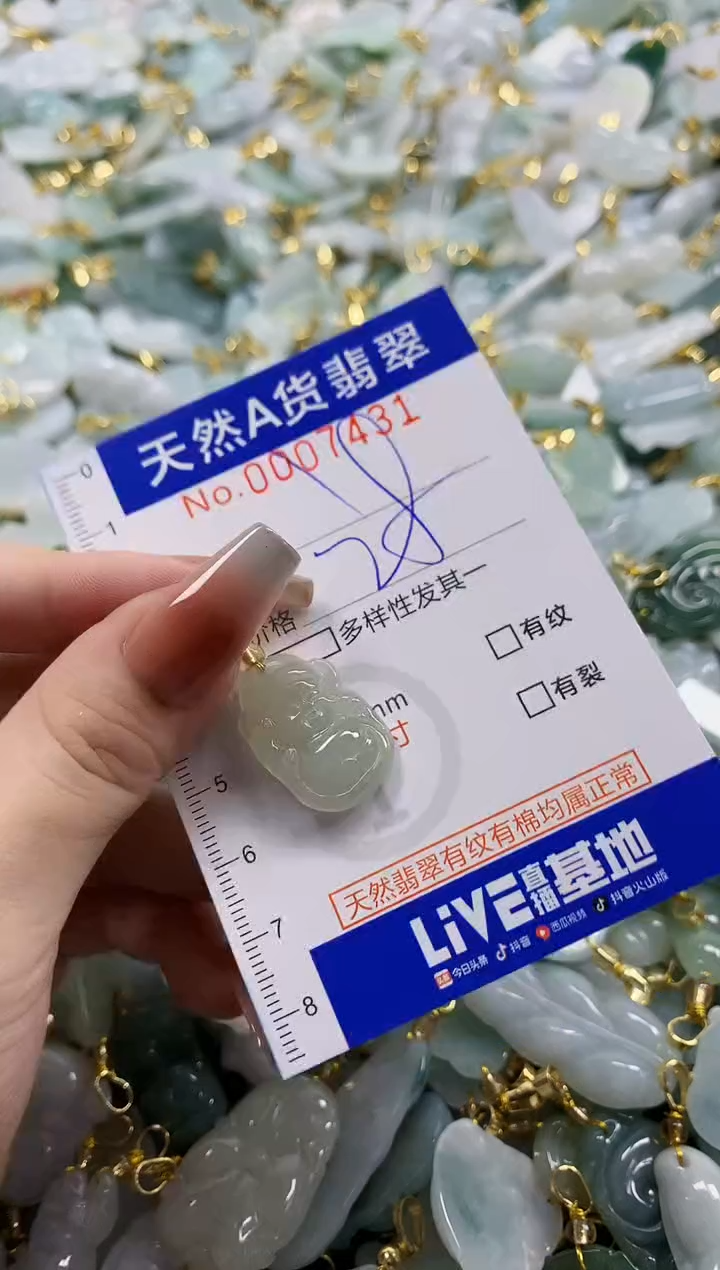 颈饰未镶嵌翡翠天然A货翡翠