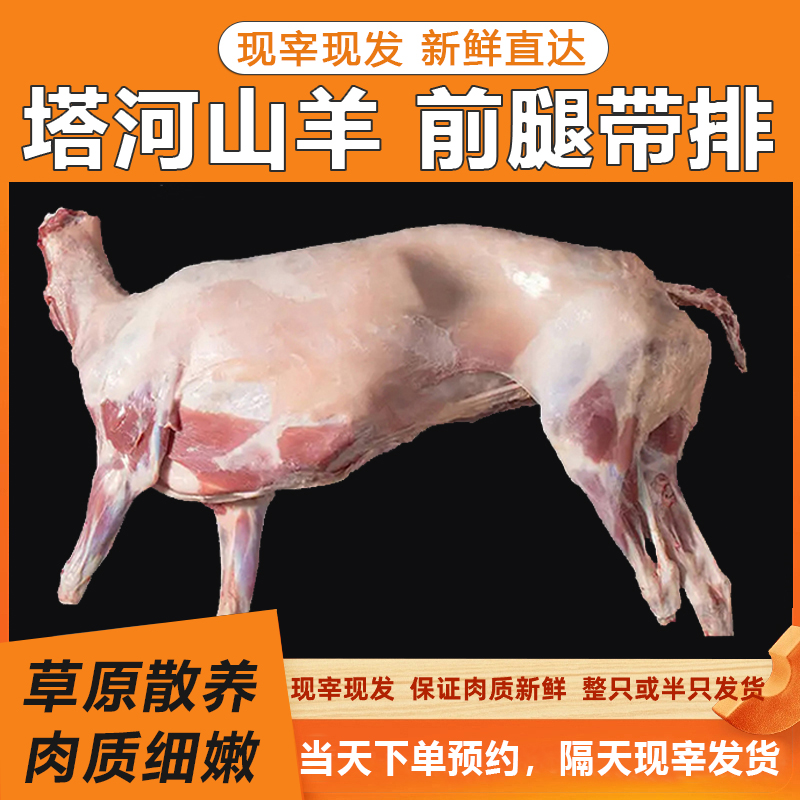 新疆尉犁县山羊前腿带排5个月羔羊现宰现发火锅食材