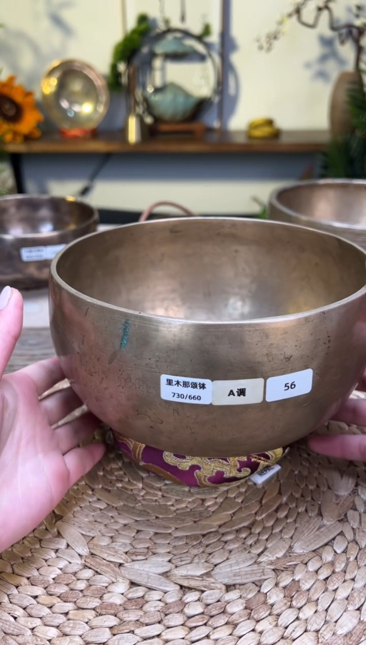 【闪购商品】里木那口径17CM-A调(无配件)