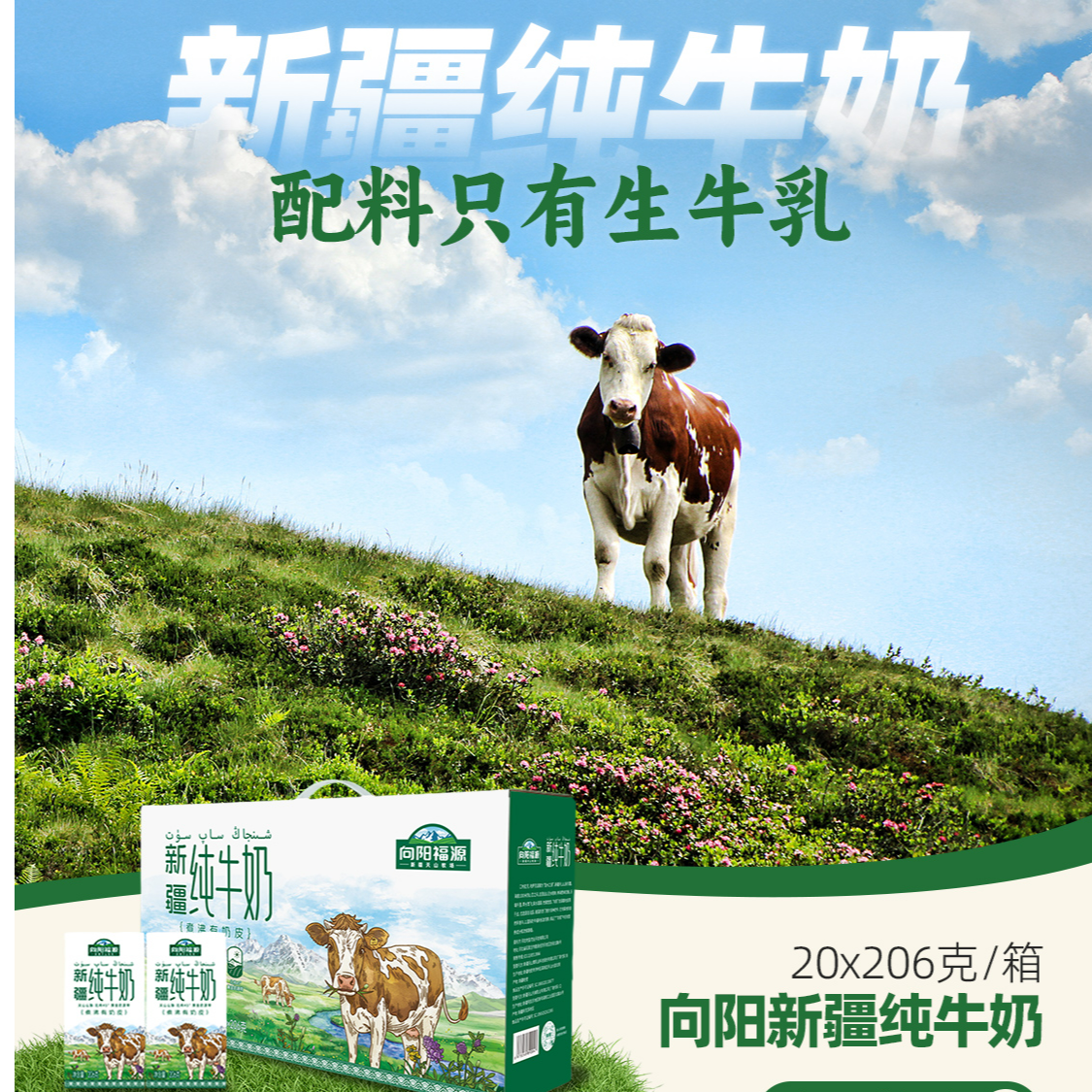 向阳福源新疆纯牛奶206g*20盒全脂牛奶学生奶