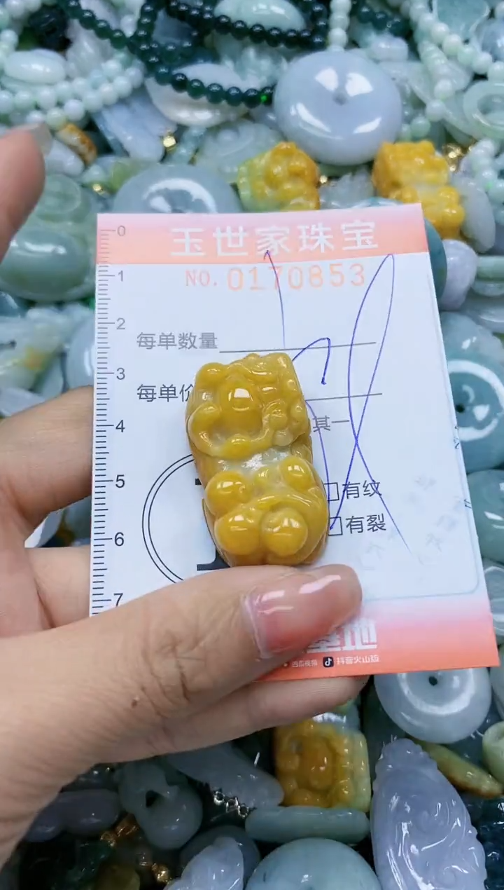 【闪购商品】翡翠颈饰未镶嵌闪购0170853