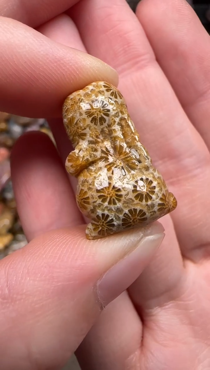 硅化珊瑚（珊瑚玉）未镶嵌颈饰114