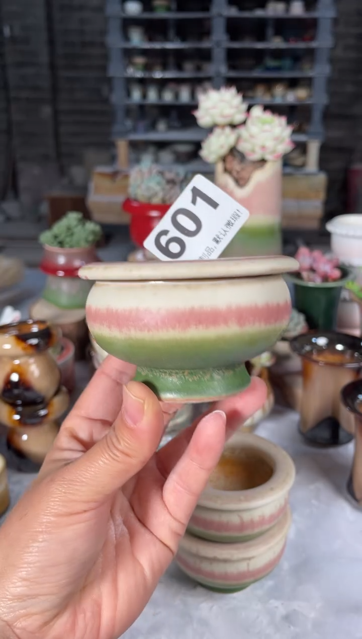 瓷片601小芳直播编号