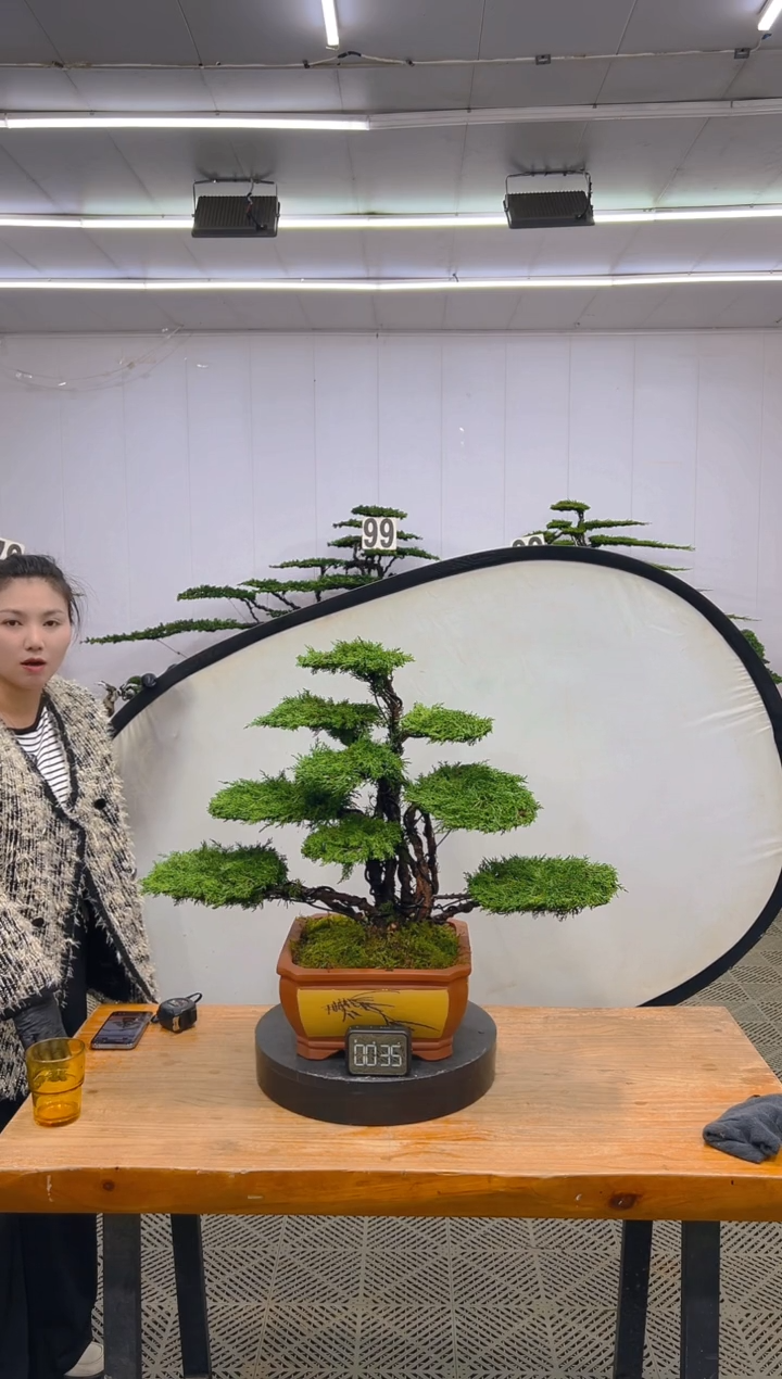 一物一拍一物一拍