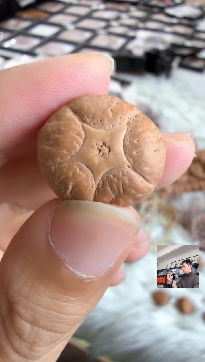 吊坠凤眼菩提4842三通