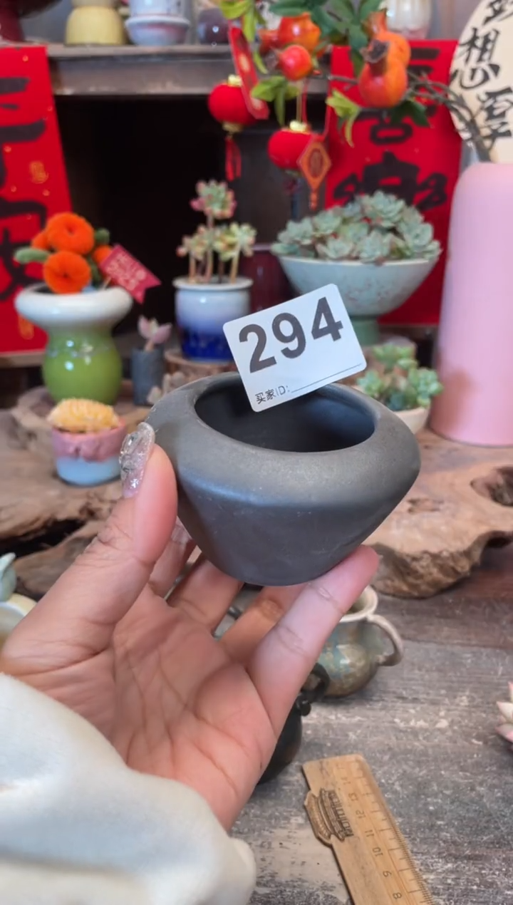 【闪购商品】摆件294知木小芳花盆