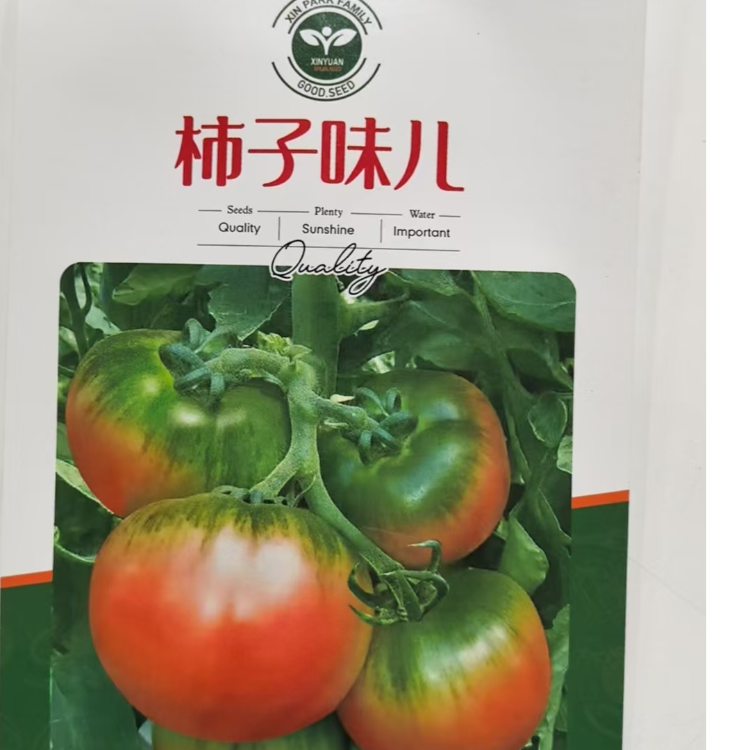 柿子味儿番茄种子果实均匀整齐，果皮光亮，商品性好