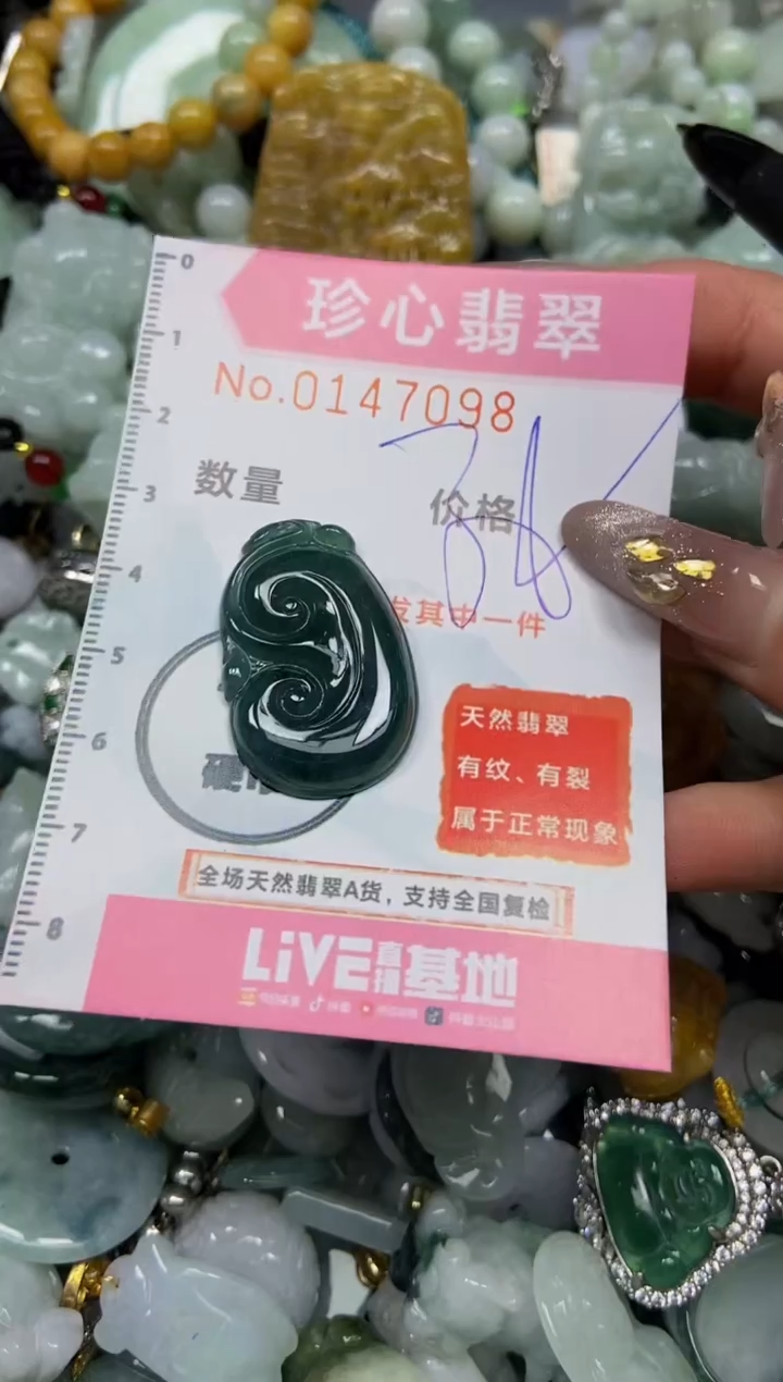 【闪购商品】翡翠颈饰未镶嵌闪购0147098