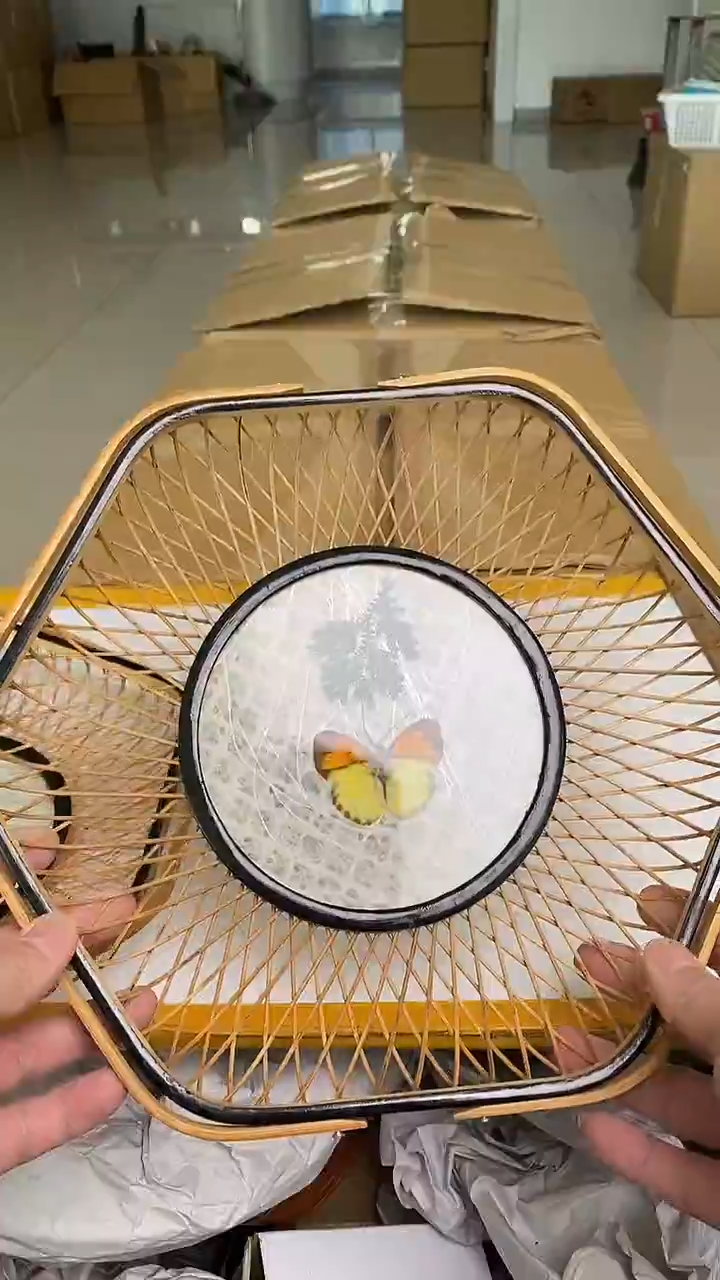 日瓷回流大盘子一个