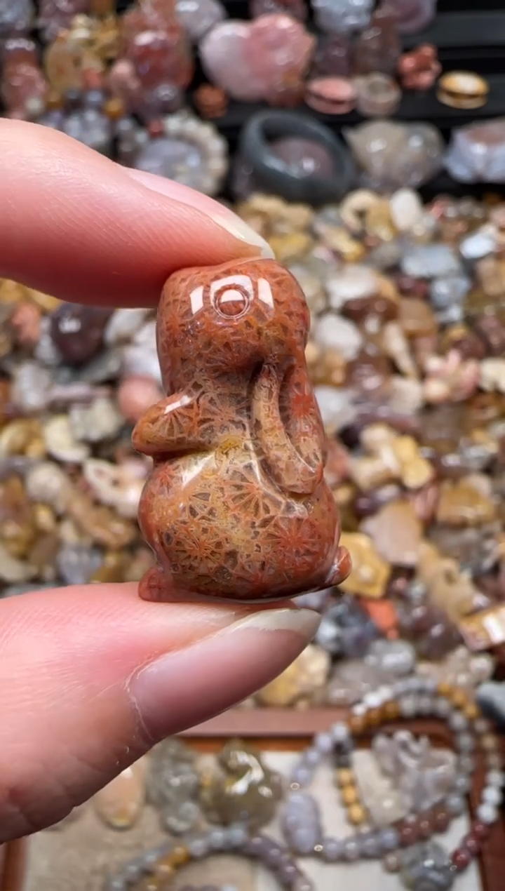 颈饰未镶嵌硅化珊瑚（珊瑚玉）145