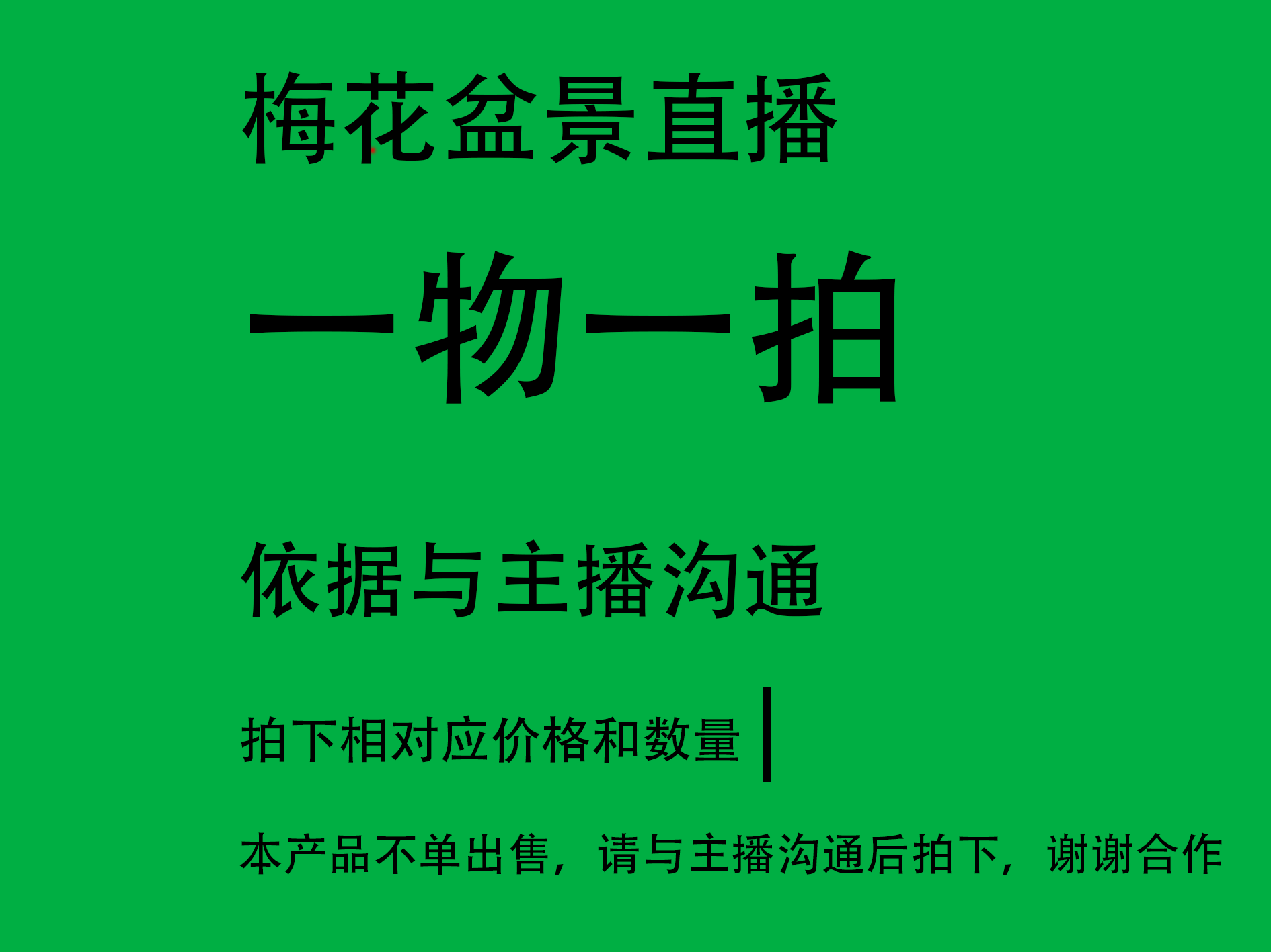 精品梅花老桩 一物一拍 新手好养室内外精品盆栽