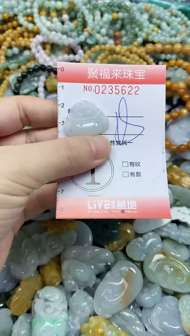 未镶嵌挂件翡翠闪购0235622