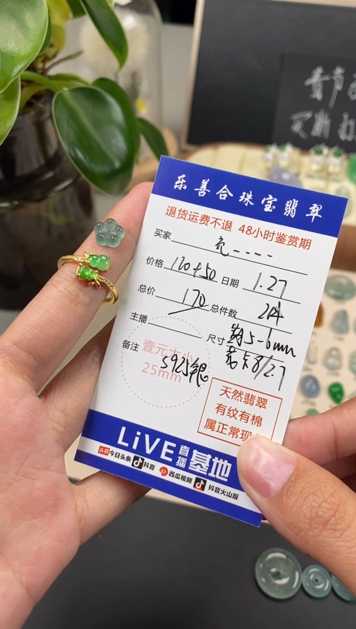 【闪购商品】翡翠颈饰银S925镶嵌翡翠冰种裸石