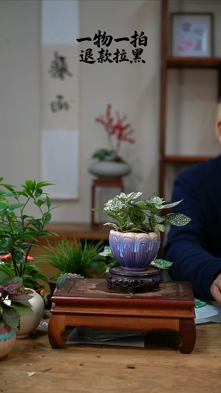 完全开放p**g嫣红蔓171