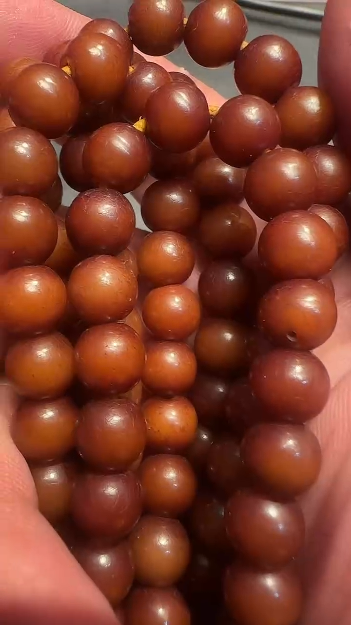 菩提根念珠菩提根念珠