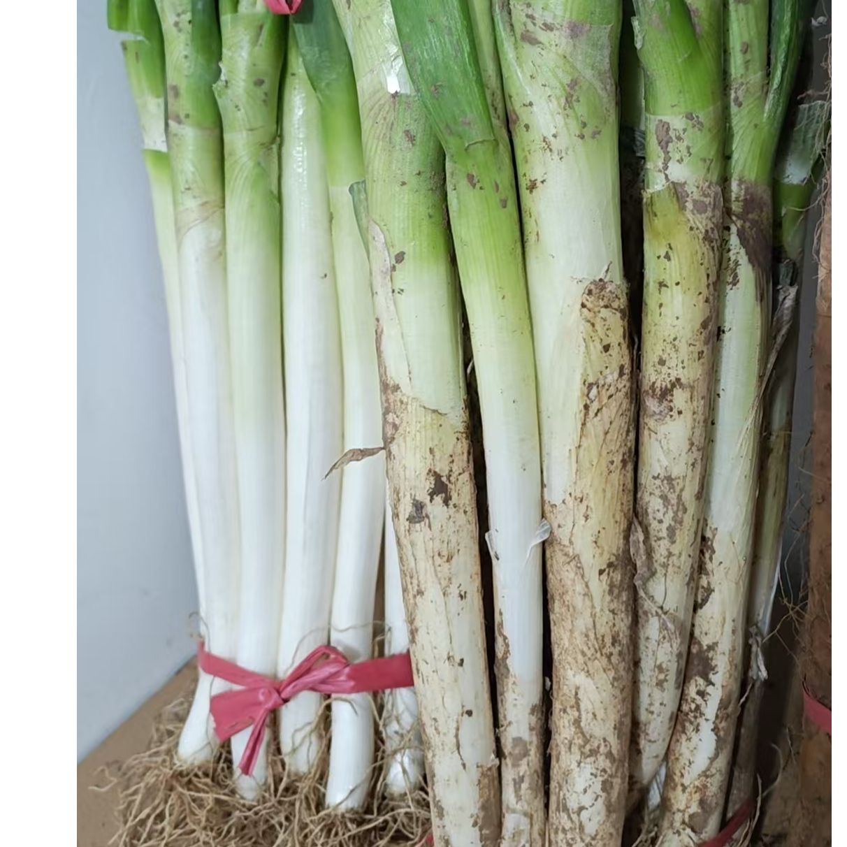 新鲜铁杆毛葱特产甜脆可生吃蘸酱蔬菜