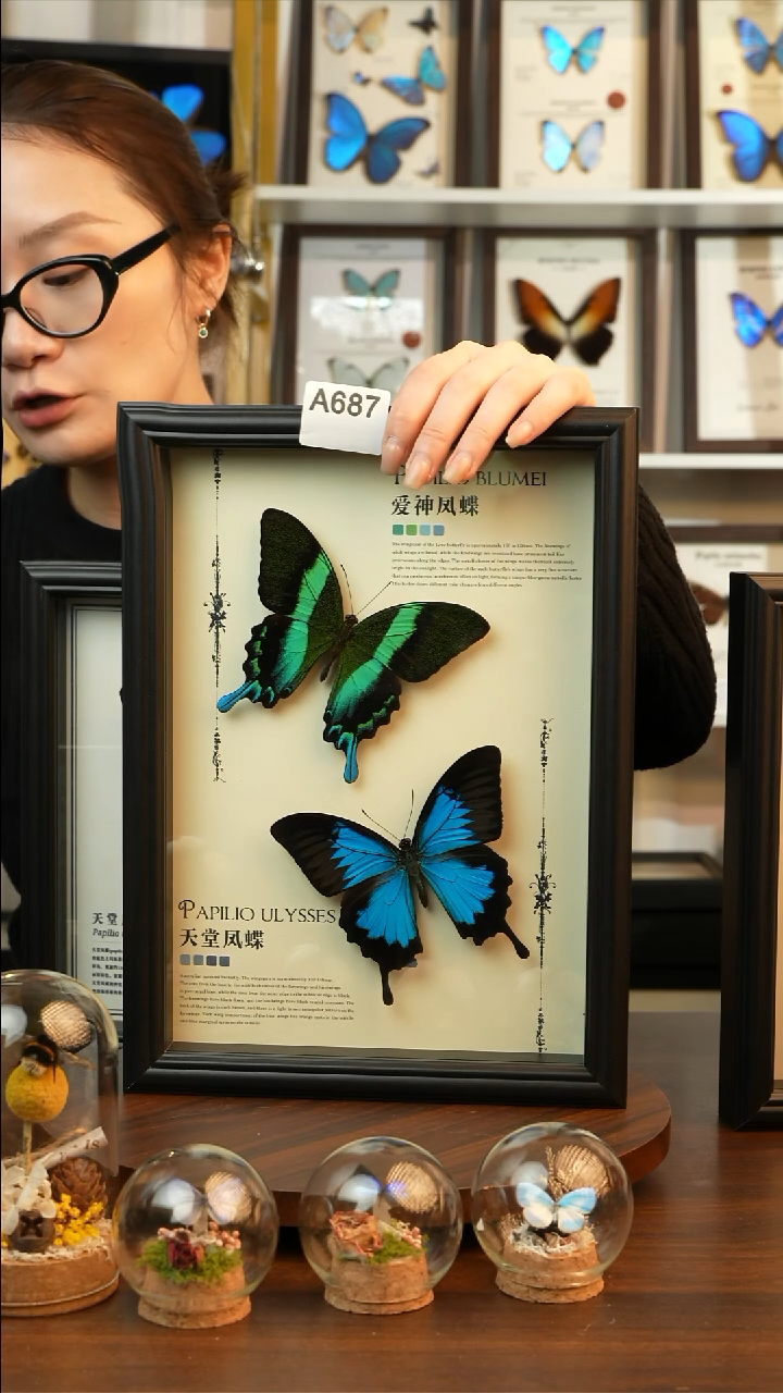 爱神凤蝶天堂凤蝶组合款(A4欧式黑框)A687