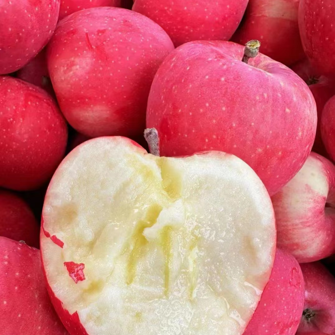 【甘肃高山红富士苹果】当季新鲜水果新鲜苹果果园直发