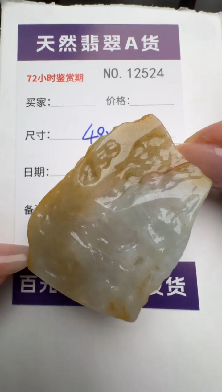 【闪购商品】翡翠颈饰未镶嵌原石12524