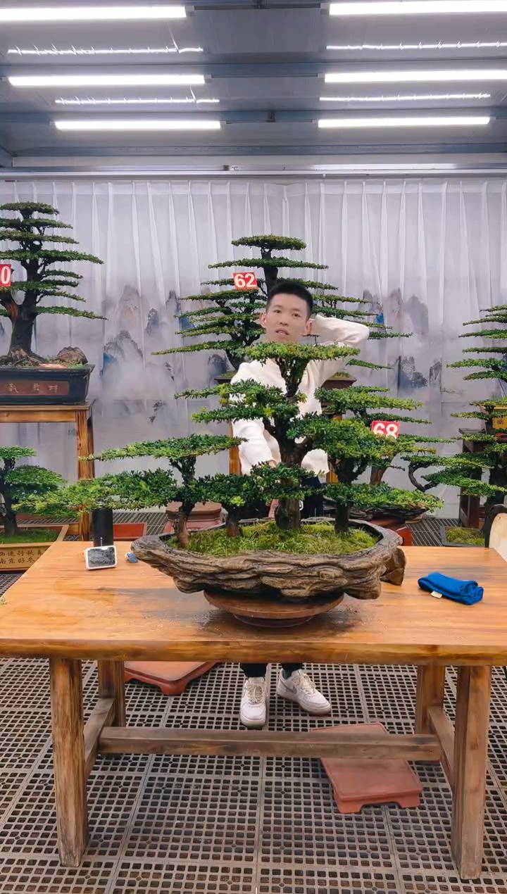 【闪购商品】紫砂精品盆景直播间一物一拍