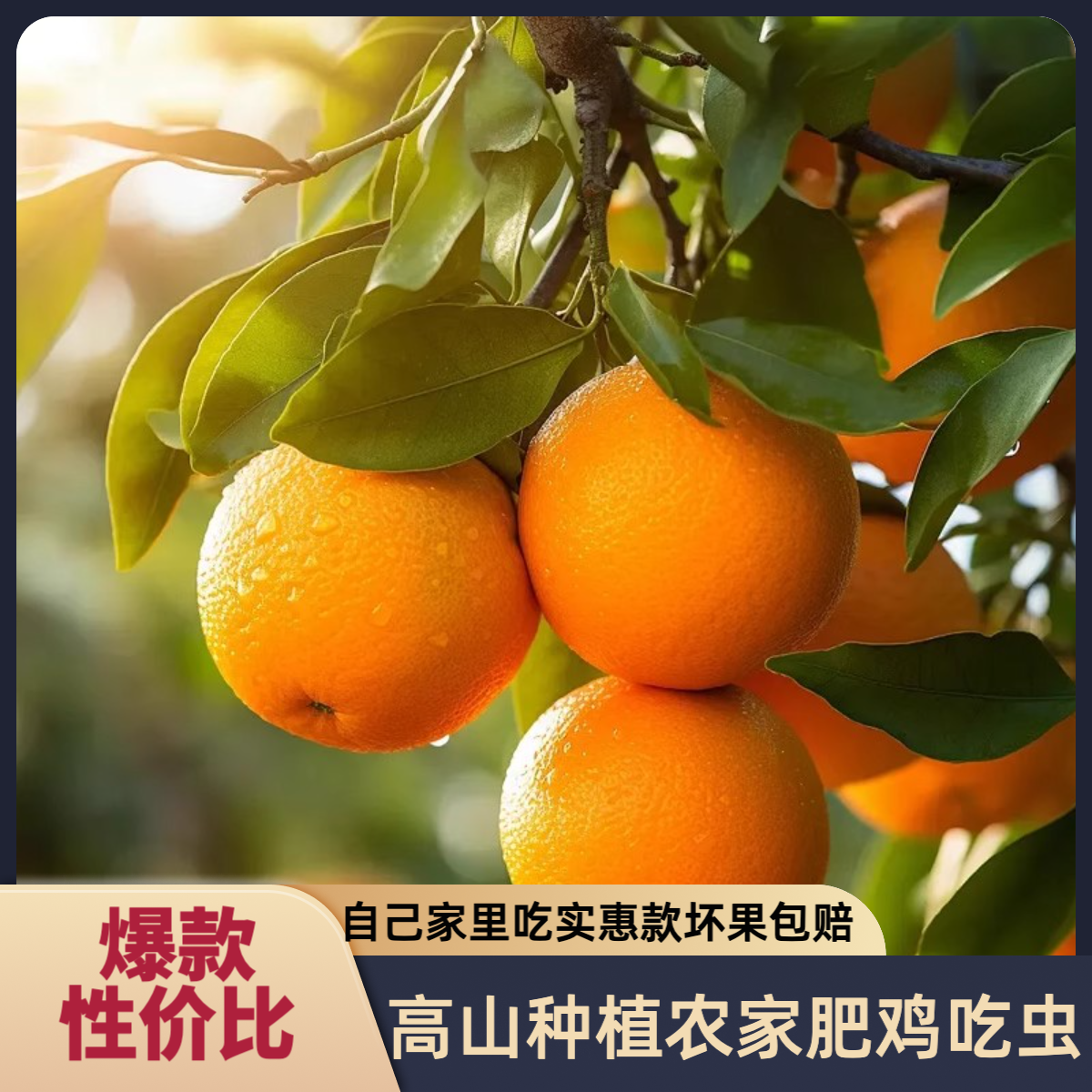 【京东顺丰精品】2025赣南脐橙核心产区应季水果原生态种植包甜10斤