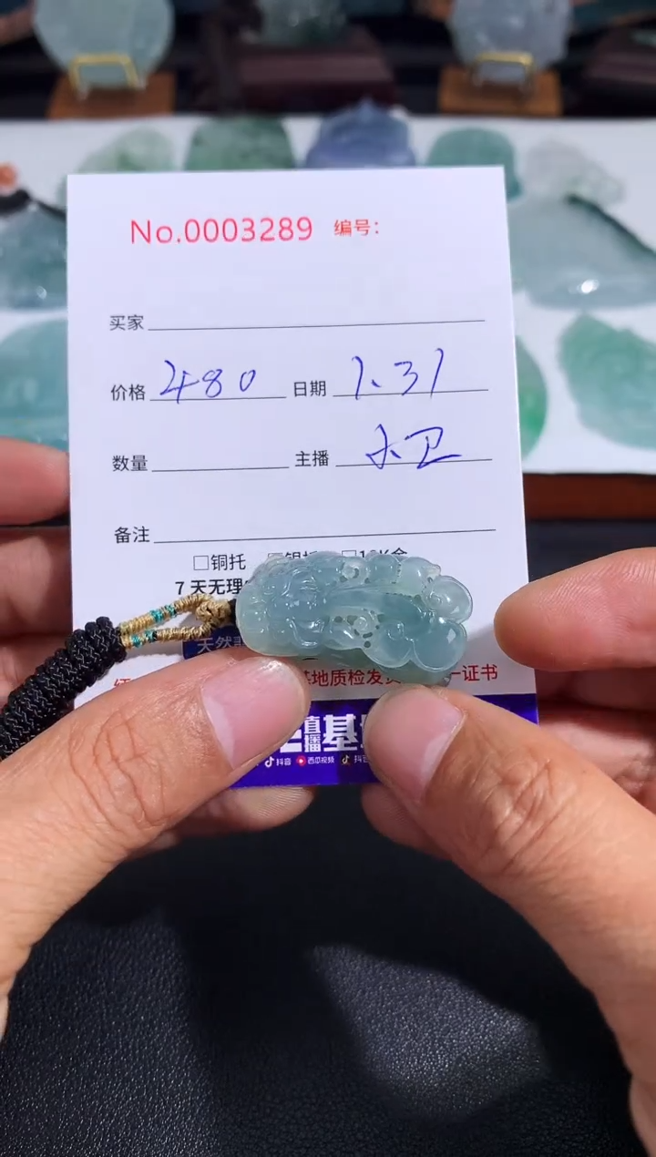 【闪购商品】翡翠颈饰未镶嵌貔貅