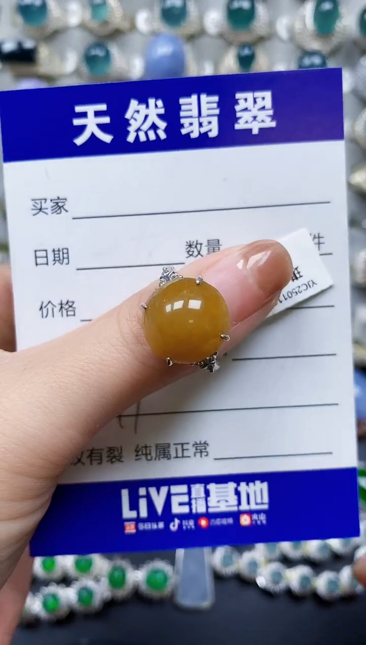 【闪购商品】翡翠戒指银S925镶嵌0071