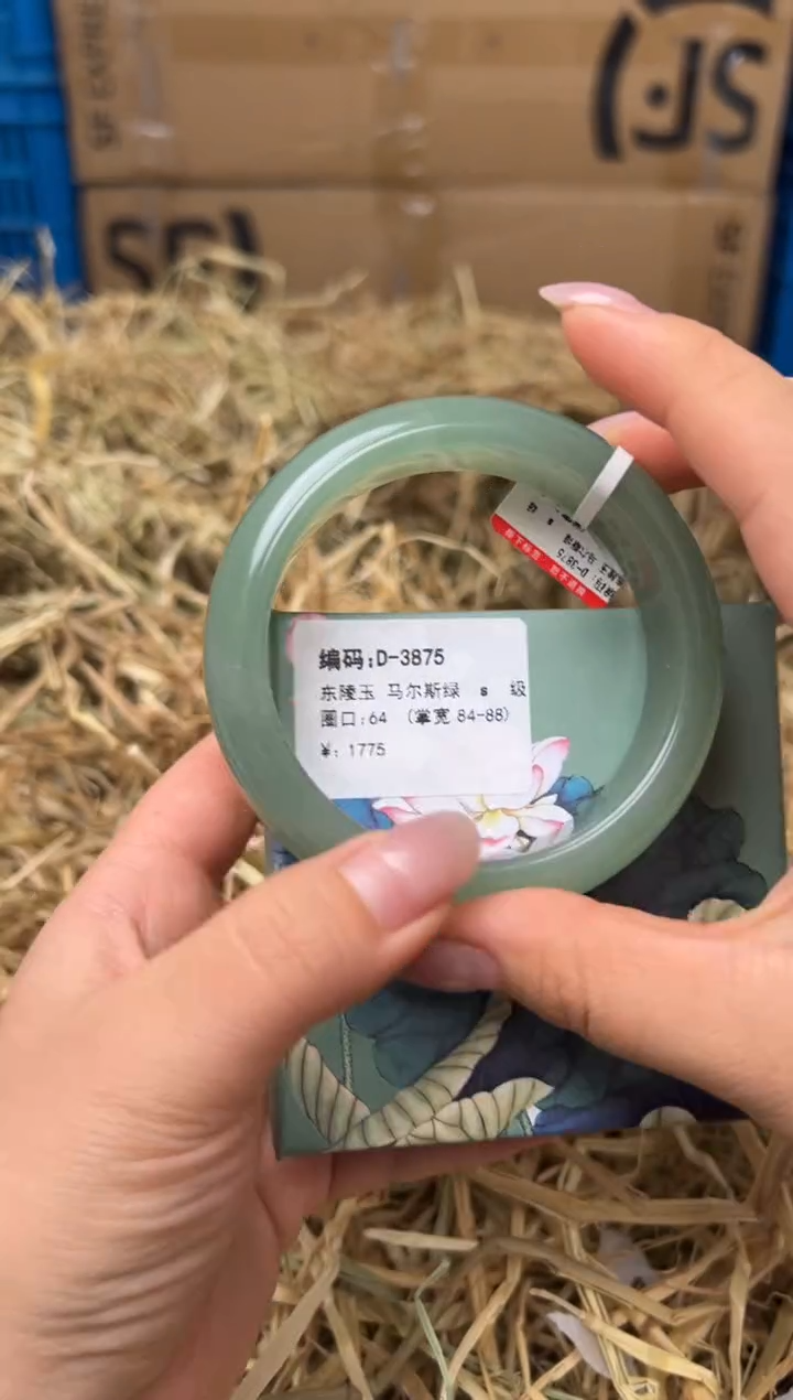 未镶嵌手镯石英质玉D-3875