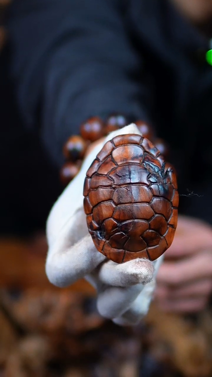 枣木赤*百年雷击枣木富甲