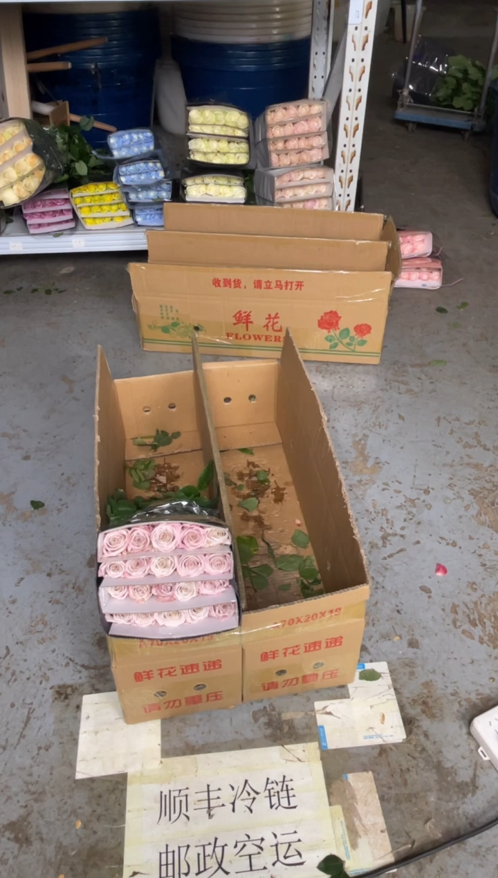 曼塔3扎              