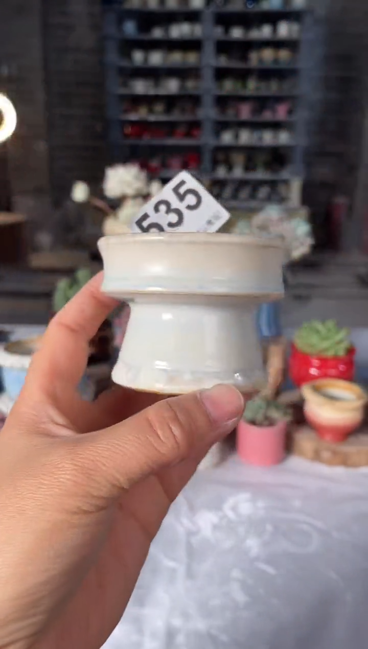 瓷片535小芳直播编号