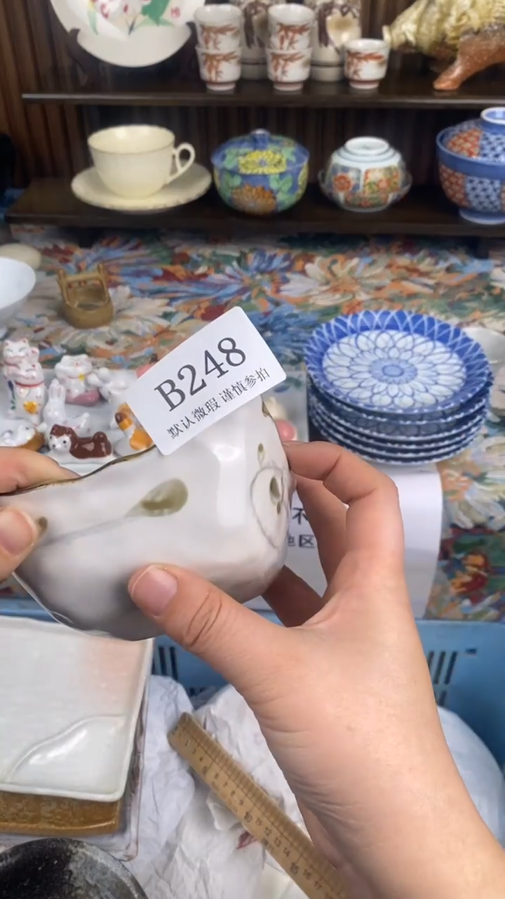 瓷片雪B248 瓷片  一物一拍