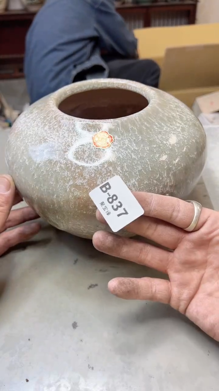 【闪购商品】瓷片837 聚宝缘  二号店