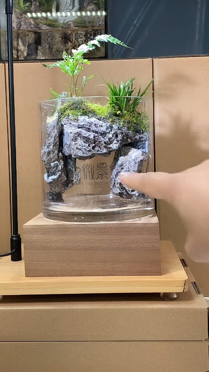 【闪购商品】孤品圆缸养鱼款