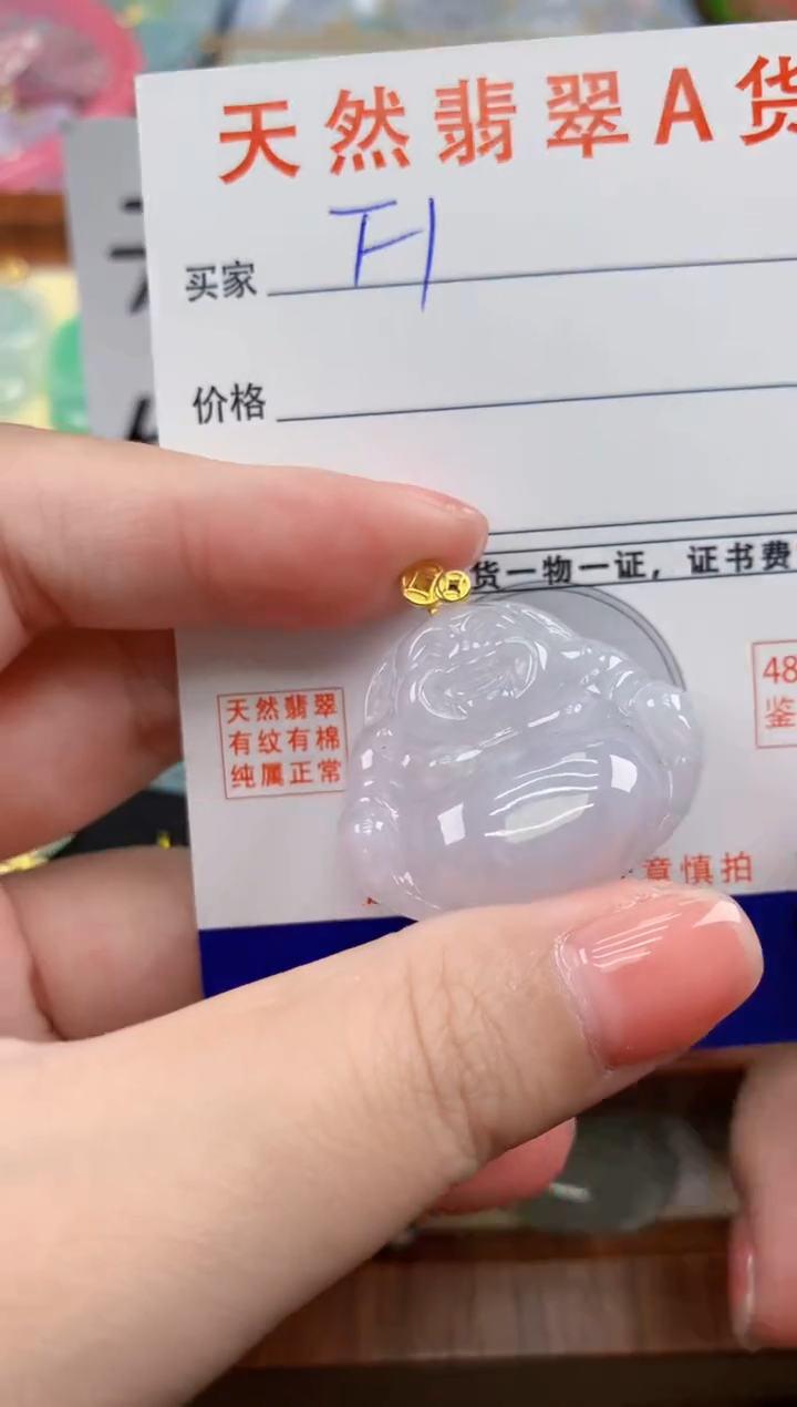 颈饰未镶嵌翡翠天然A货翡翠挂件