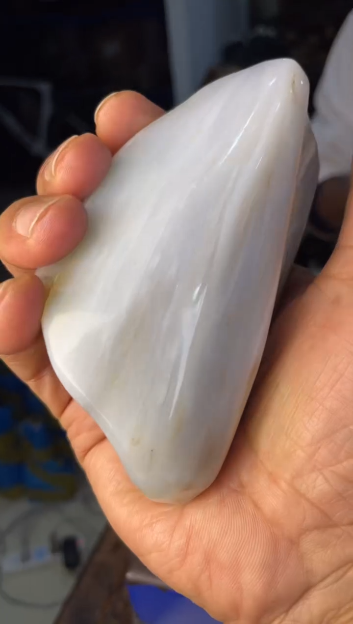 未镶嵌摆件硅化玉2