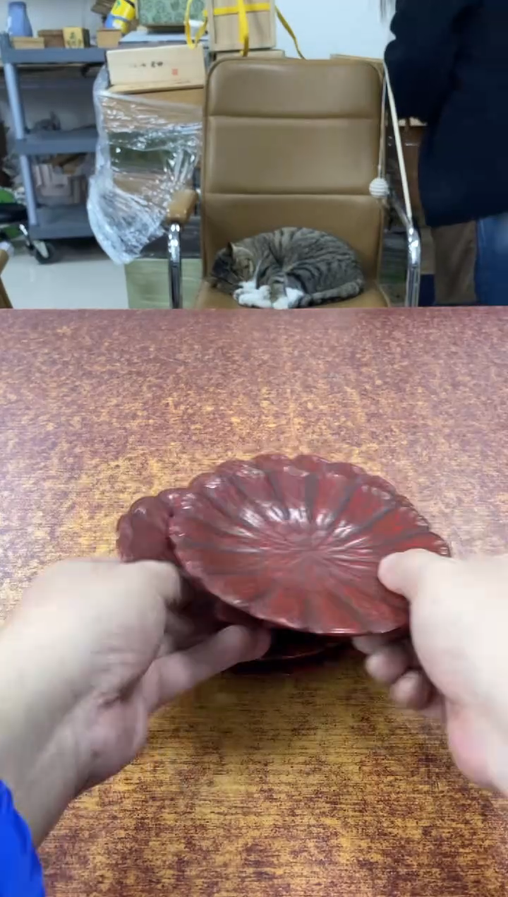 瓷片263小林轩欢迎您