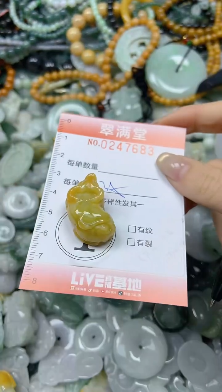 未镶嵌挂件翡翠闪购0247683