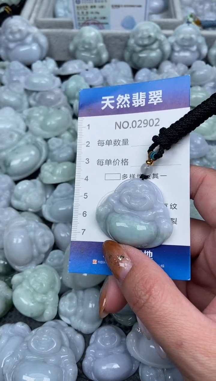 颈饰未镶嵌翡翠纯天然A货翡翠2902